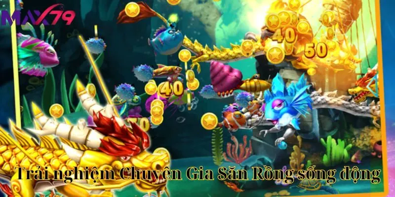 Trải nghiệm Chuyên Gia Săn Rồng sống động